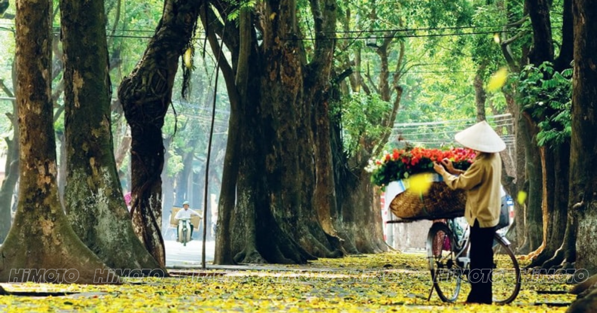 Mùa Thu Hà Nội