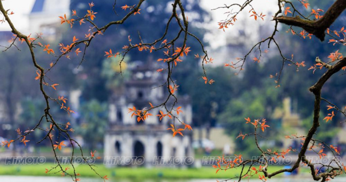 Mùa Xuân Hà Nội