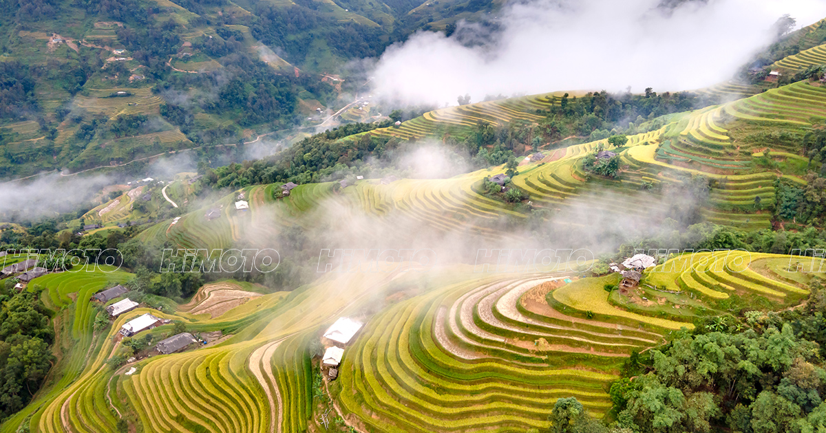 Ruộng Bậc Thang Hoàng Su Phì